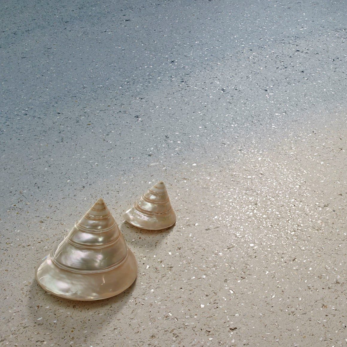 Materia Viva Deco Powders - Conchiglia (Shell)